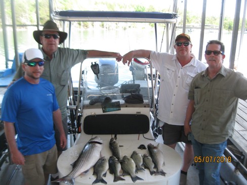 Nice Striped Bass